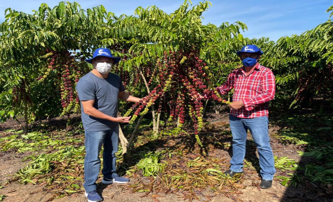 Deputado Roberto Duarte vai à Acrelândia conhecer cultivo de café clonal